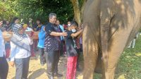 Puluhan Penyandang Disabilitas Liburan ke Lembah Hijau