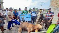 Dewan Dakwah Buka Pelayanan Qurban ke Pedalaman Daerah