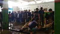 Nasdem Berkurban, Potong 42 Sapi dan 25 Kambing