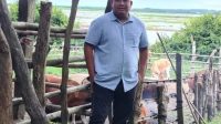 Asosiasi Pedagang Daging Lampung Tolak Impor Daging Kemasan
