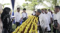 Tinjau Pasar Murah di Lampung, Mendag Zulkifli Hasan: Bantu Masyarakat dengan Bapok Mudah dan Murah