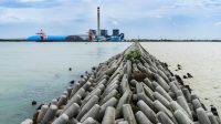 Manfaatkan FABA, PLN Nusantara Power Jadikan Pantai Plentong Kawasan Wisata Berbasis Masyarakat