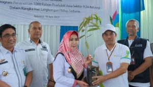 Turut Menjaga Kelestarian Bendungan Batutegi, PLN Nusantara Power Tanam Ribuan Pohon Produktif