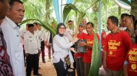 Balon DPD RI Farah: Pertanian Berperan Penting dalam Membangun Perekonomian