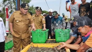 Gubernur Dorong Pertambakan Udang Lampung Bangkit dan Berjaya Kembali