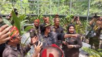Dukung Pelestarian Anggrek Kalimantan, PLN NP Hadirkan Rumah Anggrek di Palangkaraya
