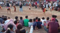 Peringati Hari Pahlawan, Pujakesuma Lampung Gelar Kuda Lumping