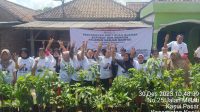 TPC dan Tim Pemenangan Ganjar Mahfud Serentak Menanam Pohon di Kabupaten Waykanan