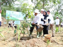Agroforestri Sukorejo, Upaya Bersama Pulihkan Lahan dan Berdayakan Masyarakat