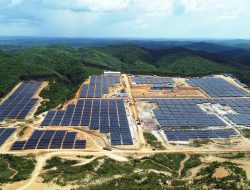 PLN Nusantara Power Sukses Kurangi 17 Juta Ton Emisi CO2