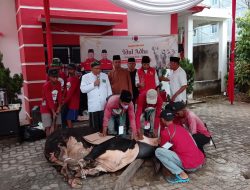 Idul Adha 2024, PDIP Lampung Potong 10 Sapi