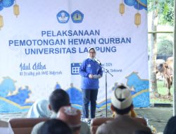 Unila Kurban 32 Sapi dan 17 Kambing