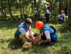 Jaga Keberlangsungan Sumber Daya Air, PLN Nusantara Power Tanam 80 Ribu Pohon di DAS Brantas