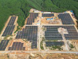 Gali Potensi Energi Baru Terbarukan, 9 Perusahaan Jerman Jajaki Kerja Sama dengan PLN Nusantara Power