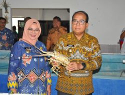 Pj. Gubernur Buka FGD Optimalisasi Pengelolaan Benih Bening Lobster