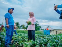 Camping di Temiangan Hill, Jihan Grebek Pasar Hingga Dialog Petani