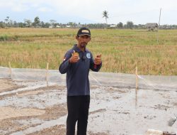 Refleksi Hari Pahlawan, Local Hero Inspiratif! Suparmin berhasil wujudkan ketahanan pangan di Lampung Selatan melalui bantuan PLN Peduli