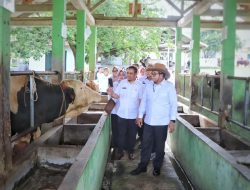 Pj. Gubernur Tinjau Balai Inseminasi Buatan