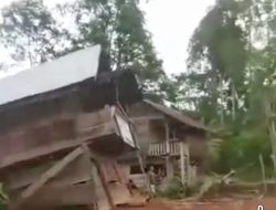 Tim Gabungan Berhasil Giring Kawanan Gajah Kembali ke Hutan