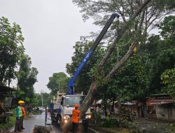 PLN UID Lampung Berhasil Pulihkan 100 persen Kelistrikan Pasca Cuaca Ekstrem