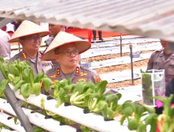 Kapolda – Bhayangkari Lampung Luncurkan Program Pekarangan Pangan Lestari