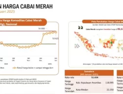 Jelang Ramadan 2025, BPS Ingatkan Kenaikan Harga Telur dan Daging Ayam Ras