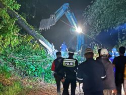 Gerak Cepat PLN Lakukan Perbaikan Jaringan Listrik terdampak Longsor, Pasca Cuaca Ekstrim di Pesawaran Lampung