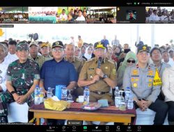 Petani Lampung Sambut Gembira Panen Raya, Pemerintah Pastikan Harga Gabah Menguntungkan