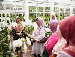 PUI Anggrek Unila Gelar Soft Launching dan Tinjau Tempat Penanaman Anggrek