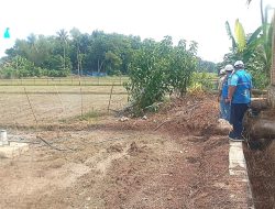 Dorong Electrifiying Agriculture, PLN Natar Hadirkan SPLU untuk Tingkatkan Produktivitas Petani