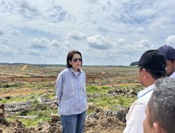 Dukungan PalmCo untuk Kartini Masa Kini, Berkarir di Perkebunan Bukan Sekadar Mimpi