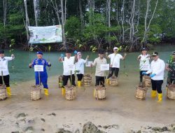 Gubernur Tanam Mangrove dan Tinjau Inovasi Appostrap di Pesawaran
