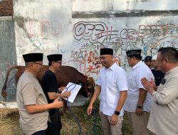 Idul Adha 1446 H, Gerindra Lampung Kurban 6 Ekor Sapi