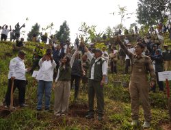 PLN NP Gandeng WWF dan Kementerian Hijaukan Jakarta dari Hulu