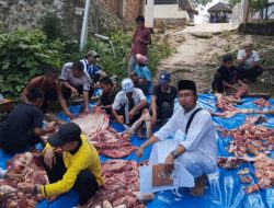Qurban Terus Meningkat, Ribuan Berkah Mengalir dari Pondok Tahfizh Menara Sembilan