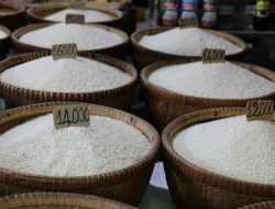 KENAIKAN HARGA BERAS DAN RESPONS KONSUMEN: KAJIAN ELASTISITAS PERMINTAAN DI INDONESIA