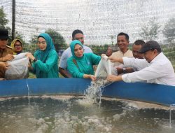 TP. PKK dan Mitra Sepakati Percepatan Pengembangan Kawasan PKK Agropark