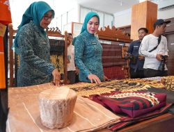 Langkah Nyata PKK Lampung Wujudkan Keluarga Tangguh Lewat Desa TAPIS