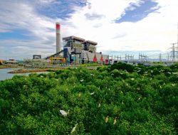 Kolaborasi Strategis, Laba Asosiasi PLN Nusantara Power Catat Rekor Tertinggi