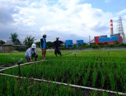 PLN Nusantara Power Hadirkan Inovasi Tirta Turatea: Wujudkan Desa Punagaya Sehat, Adil, dan Sejahtera Melalui Akses Air Bersih Berkelanjutan