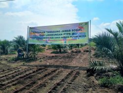 PTPN IV PalmCo Salurkan 1,6 Ton Benih Padi Gogo untuk Petani Sawit di Labuhanbatu