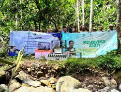PLN Bekerja Sama Dengan BKSDA Terkait Pelepasliaran Satwa Liar