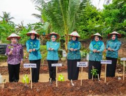 TP PKK Provinsi Lampung Perkuat Pemberdayaan Keluarga Lewat Program Desa TAPIS