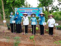 Ketua TP. PKK Provinsi Lampung Canangkan Desa TAPIS di Way Kanan, Perkuat Pemberdayaan dan Kesejahteraan Keluarga
