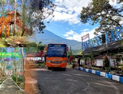 Diversifikasi Usaha, PTPN I Reg.3 Ubah Kebun Karet Menjadi Agrowisata Kampoeng Karet