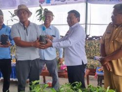 I Ketut Suwendra Serahkan Bantuan Bibit Alpukat Siger di Way Kanan