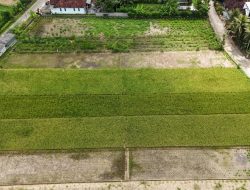 PLN Nusantara Power UP Pacitan Manfaatkan FABA Jadi Kompos untuk Lahan 6,5 Hektar