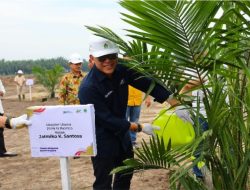 Holding Perkebunan Nusantara Perkuat Ketahanan Pangan Nasional, PTPN IV PalmCo Dorong Peremajaan Sawit dan Integrasi Tanaman Pangan