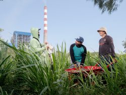 PLN Nusantara Power UP Tanjung Awar-awar Raih Penghargaan Initiative Award 2025 Berkat Inovasi Hijau SIPANDU DESI