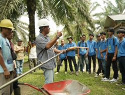 PTPN IV Regional VII Kebun Rejosari Perkuat Kompetensi Calon Pekerja Migran Lewat Praktik Lapangan Bapeltan Lampung